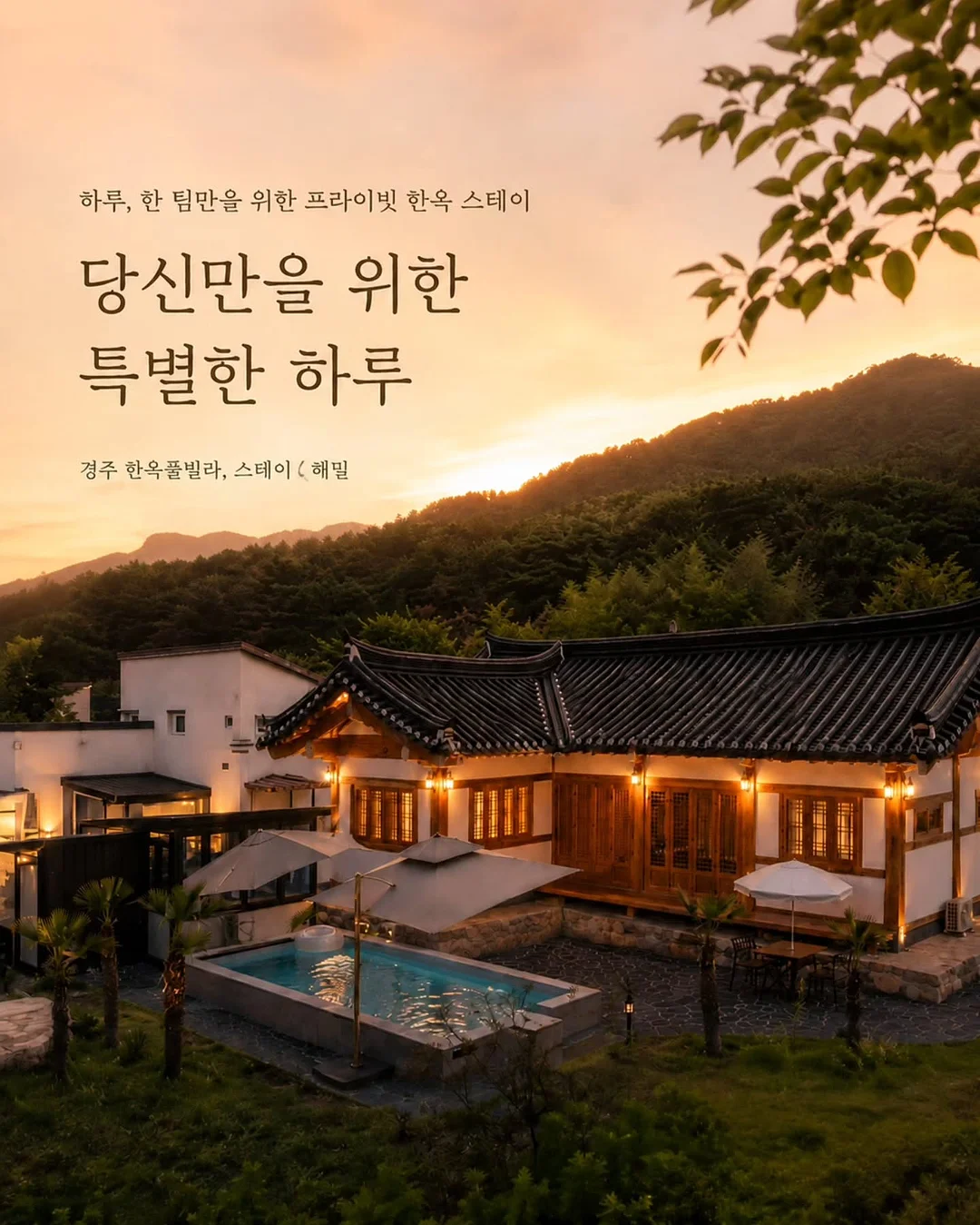 진선코치 다이어트 프로그램 1