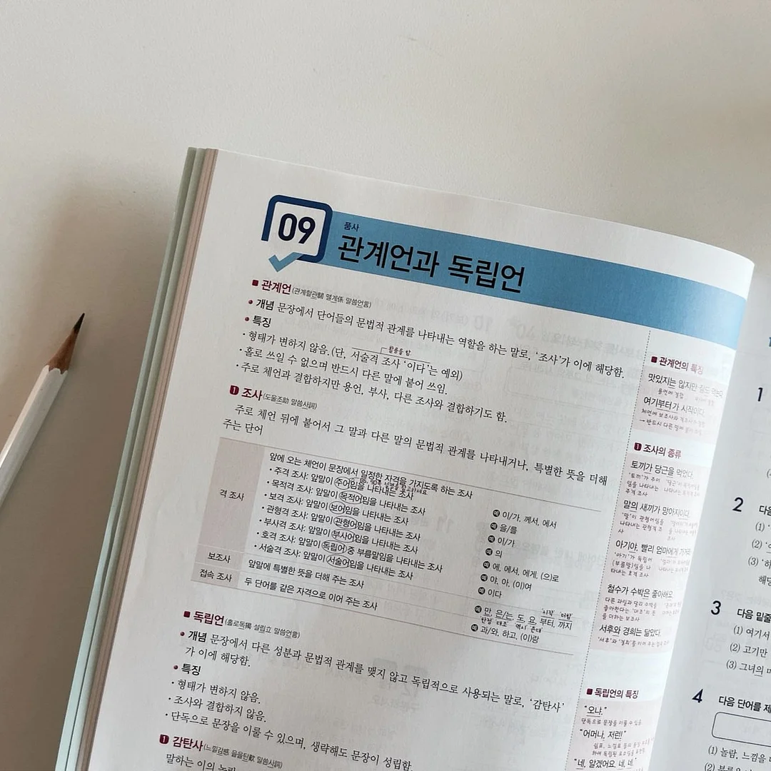 통밀 계란 커스타드 3