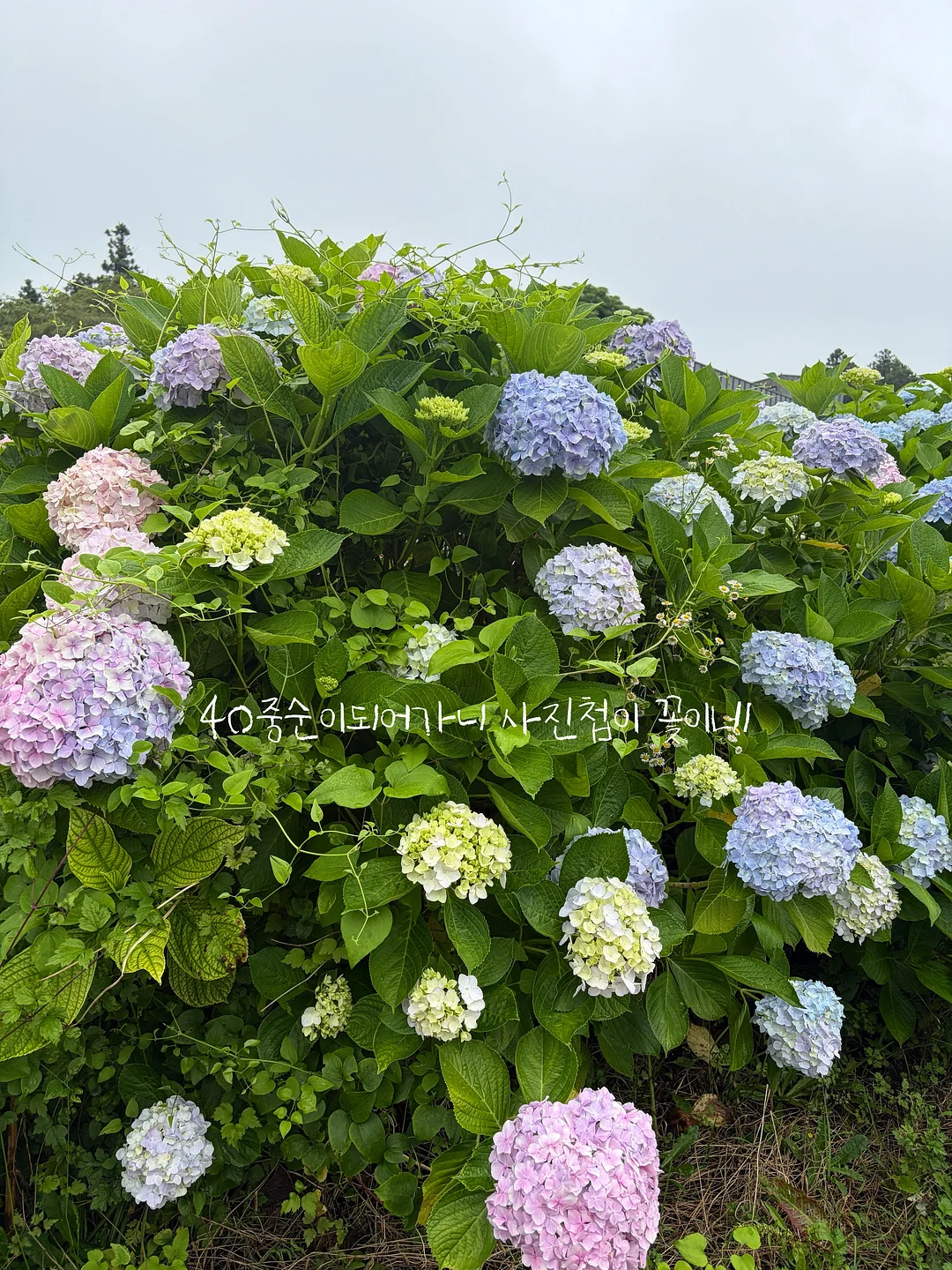 박정민 배우님 로고 도어벨 6