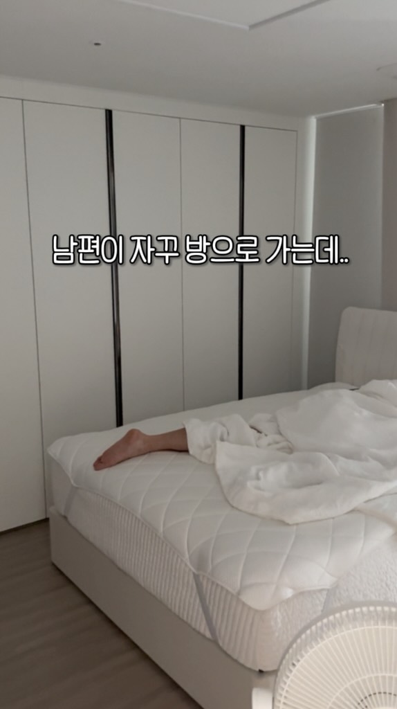 데코아르 멜로우 에어제트 & 비비드 선풍기