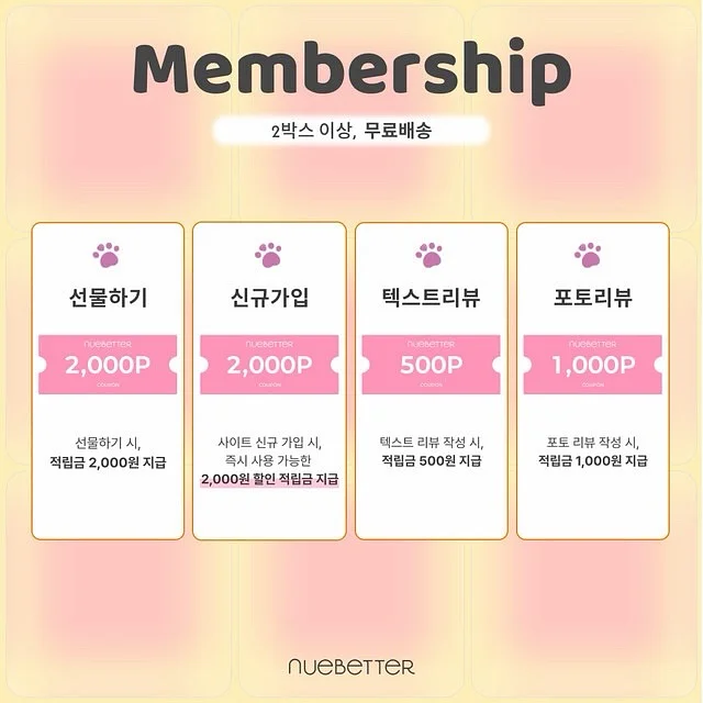 비주얼퍼포먼스1 4