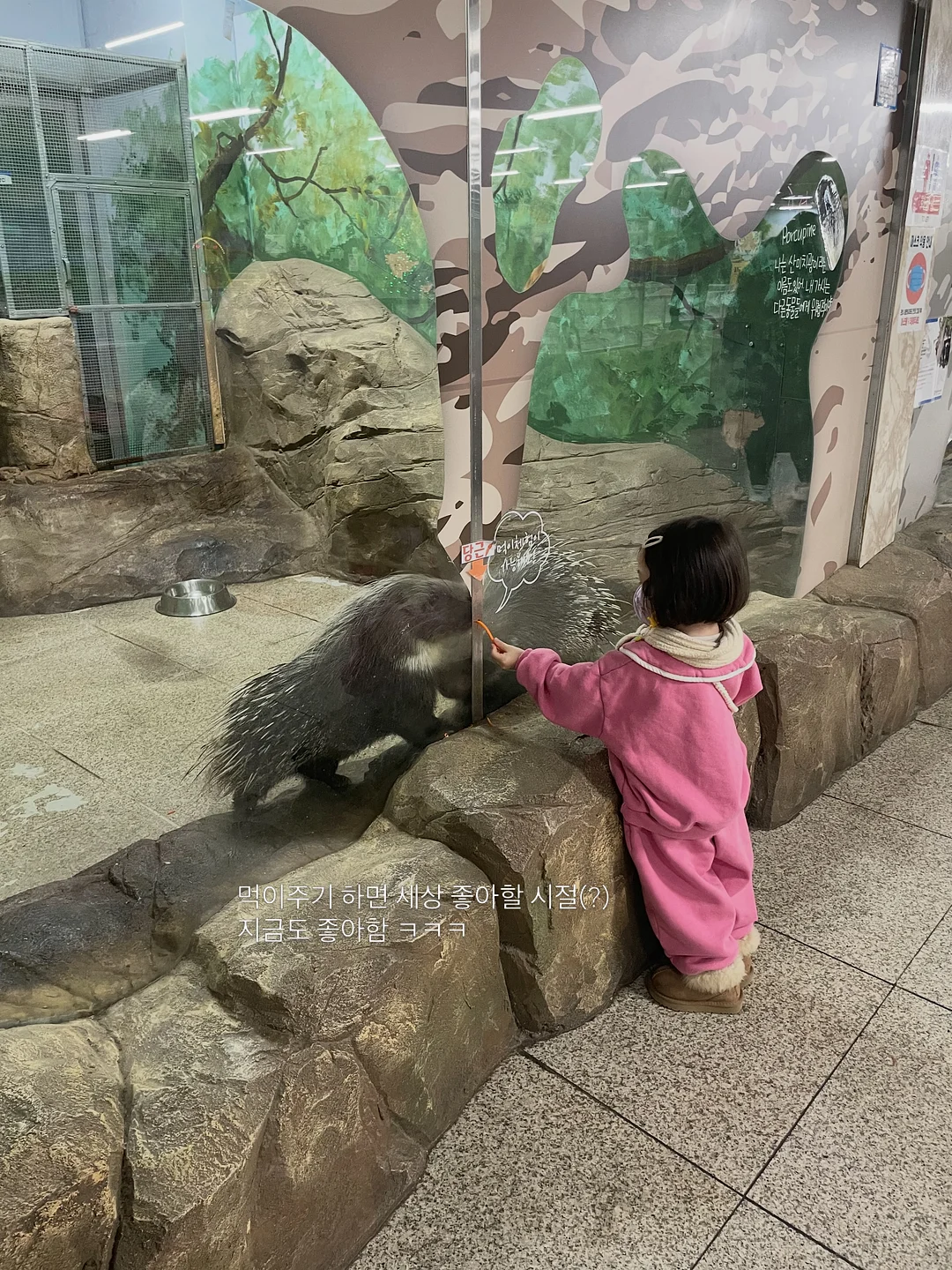 투라 속눈썹 15