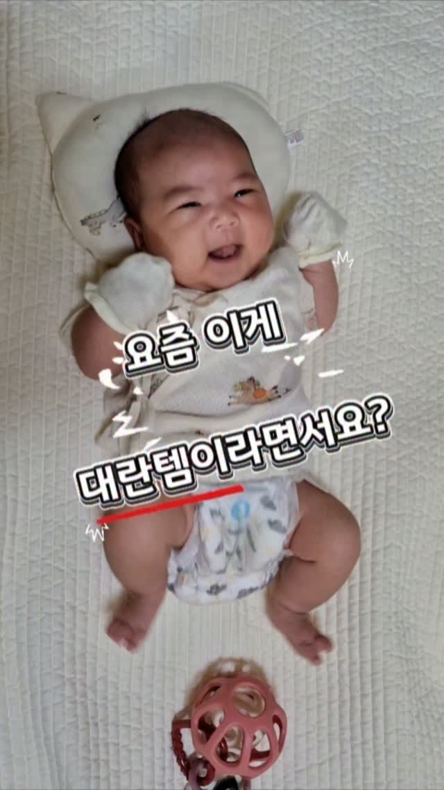 피오떼다이브