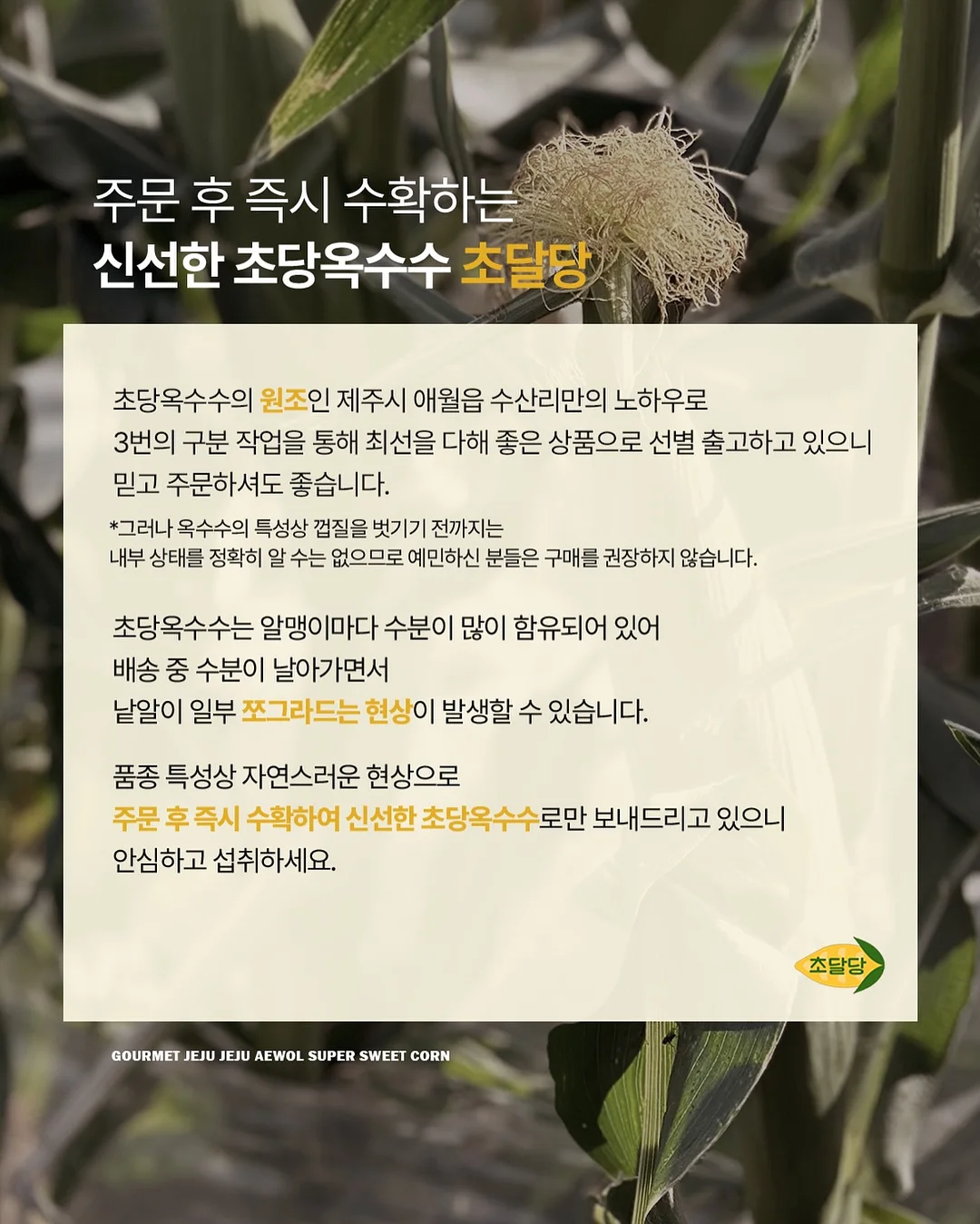 CP 비누 레시피 11