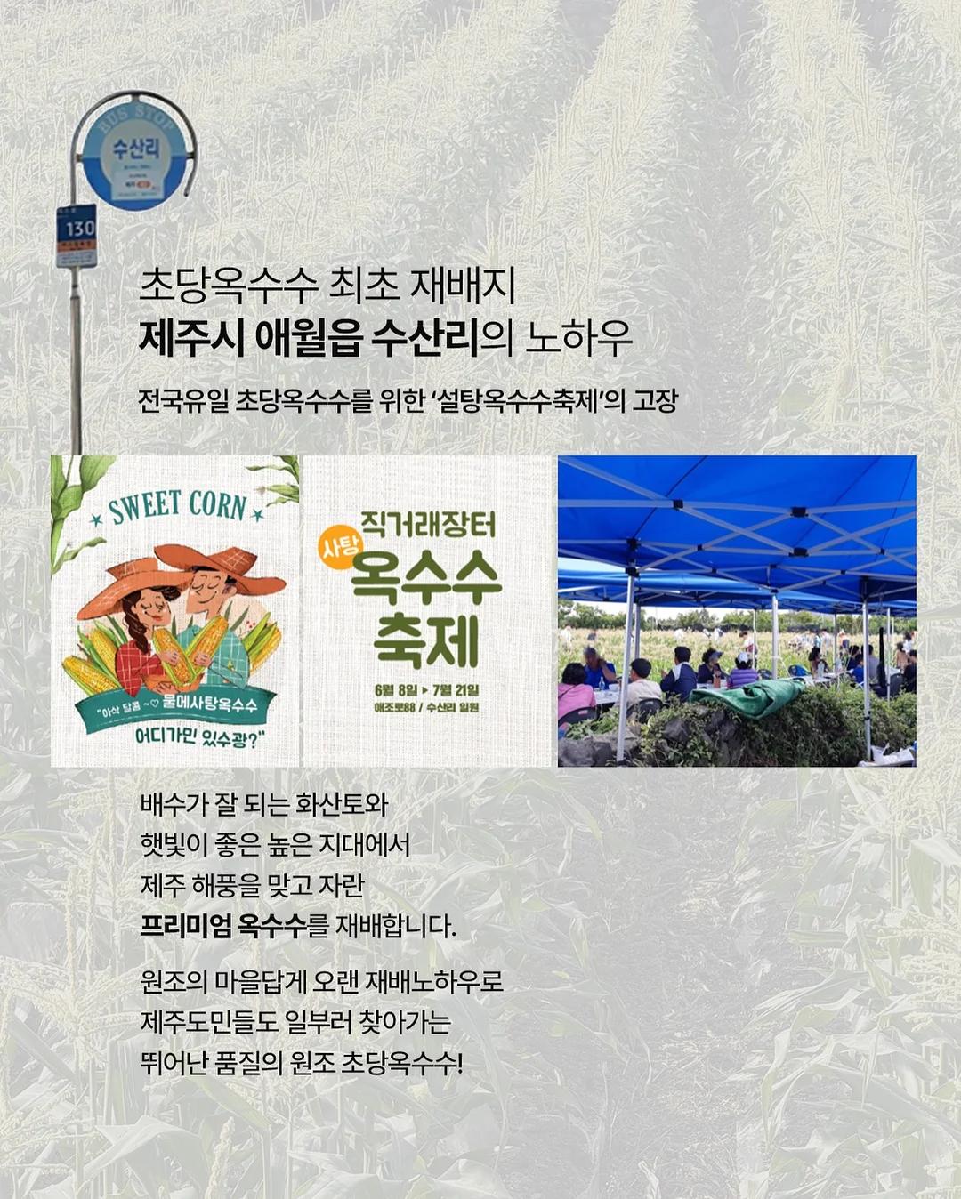 CP 비누 레시피 12