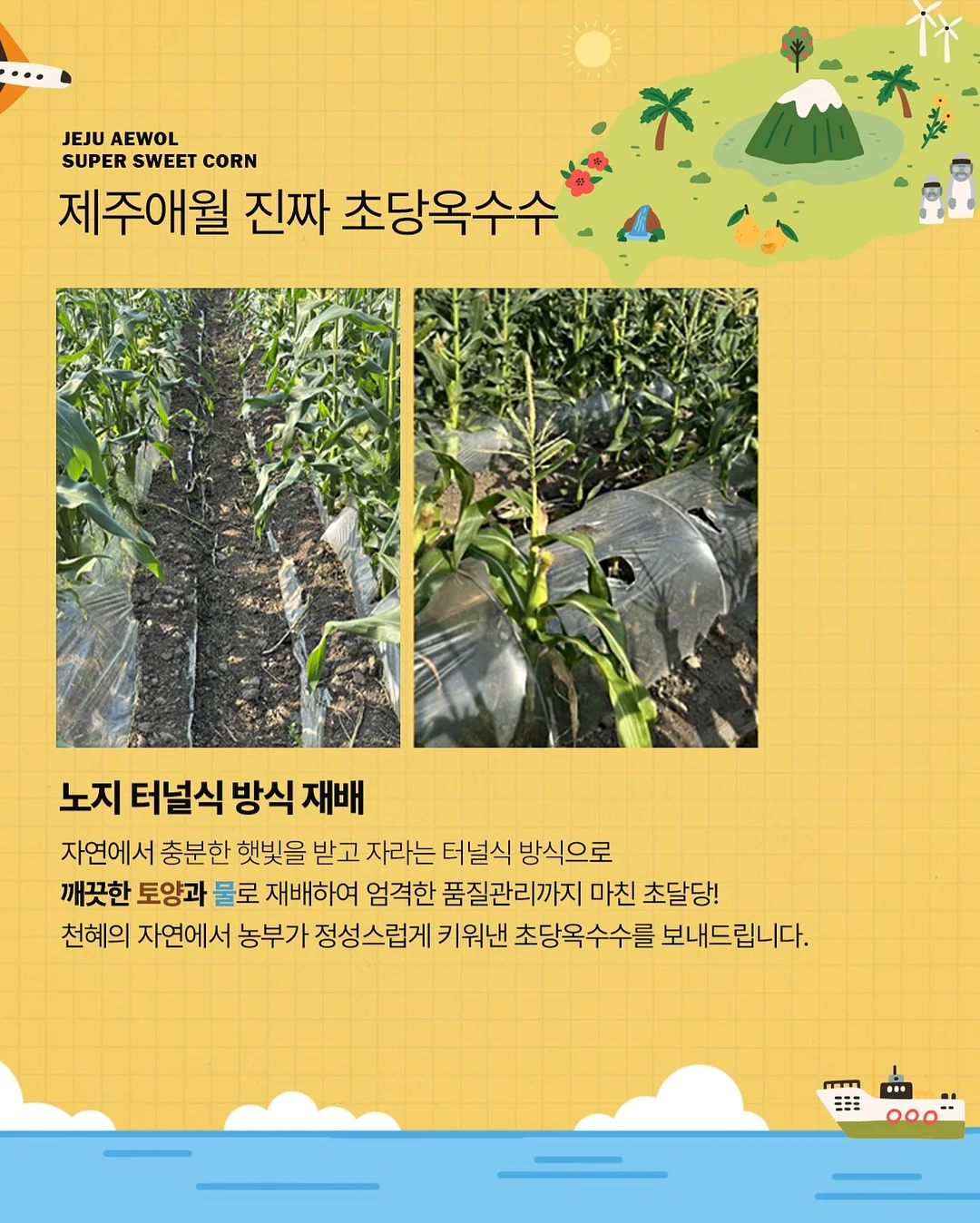 CP 비누 레시피 13