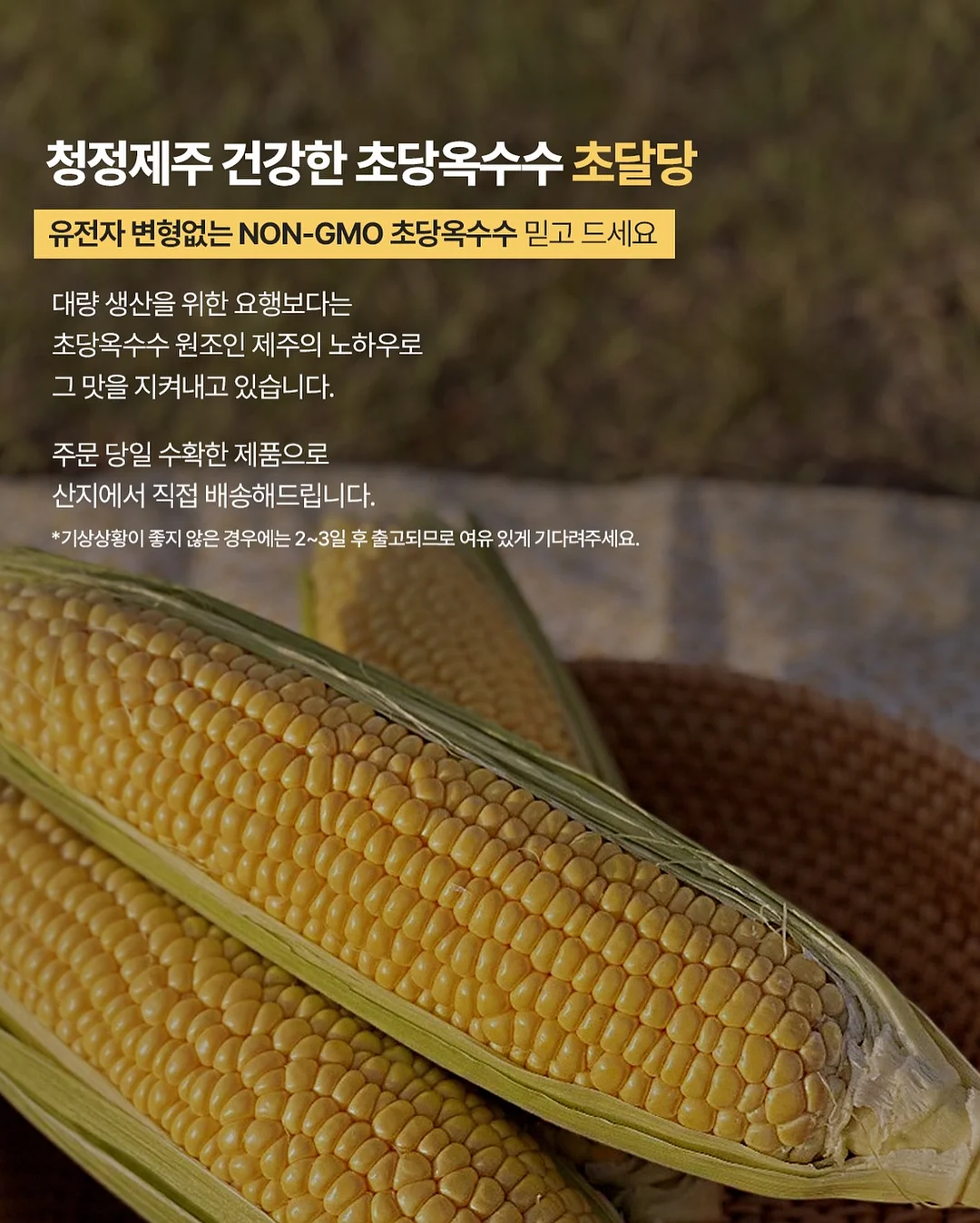 CP 비누 레시피 15