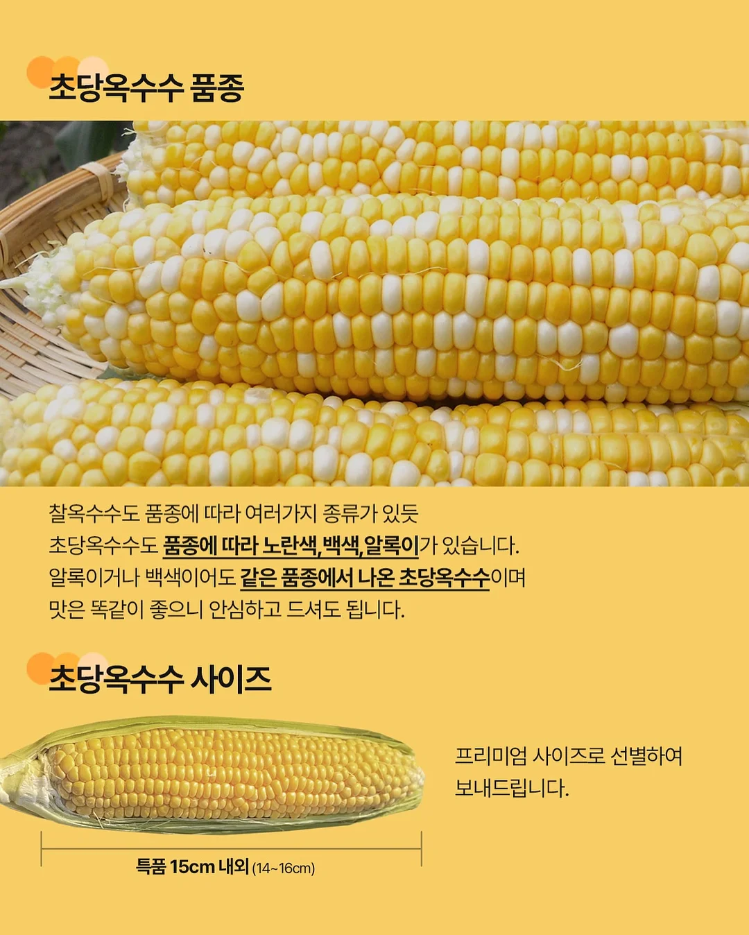 CP 비누 레시피 18