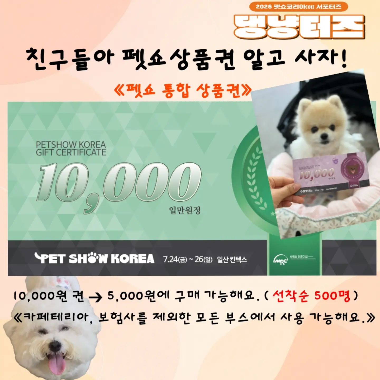 올드 워드로브 드레스 3