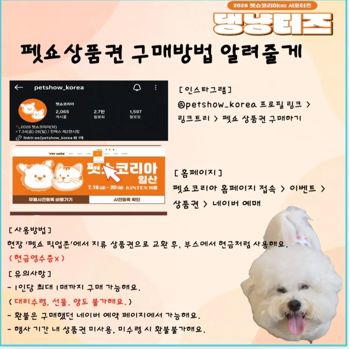 올드 워드로브 드레스 4