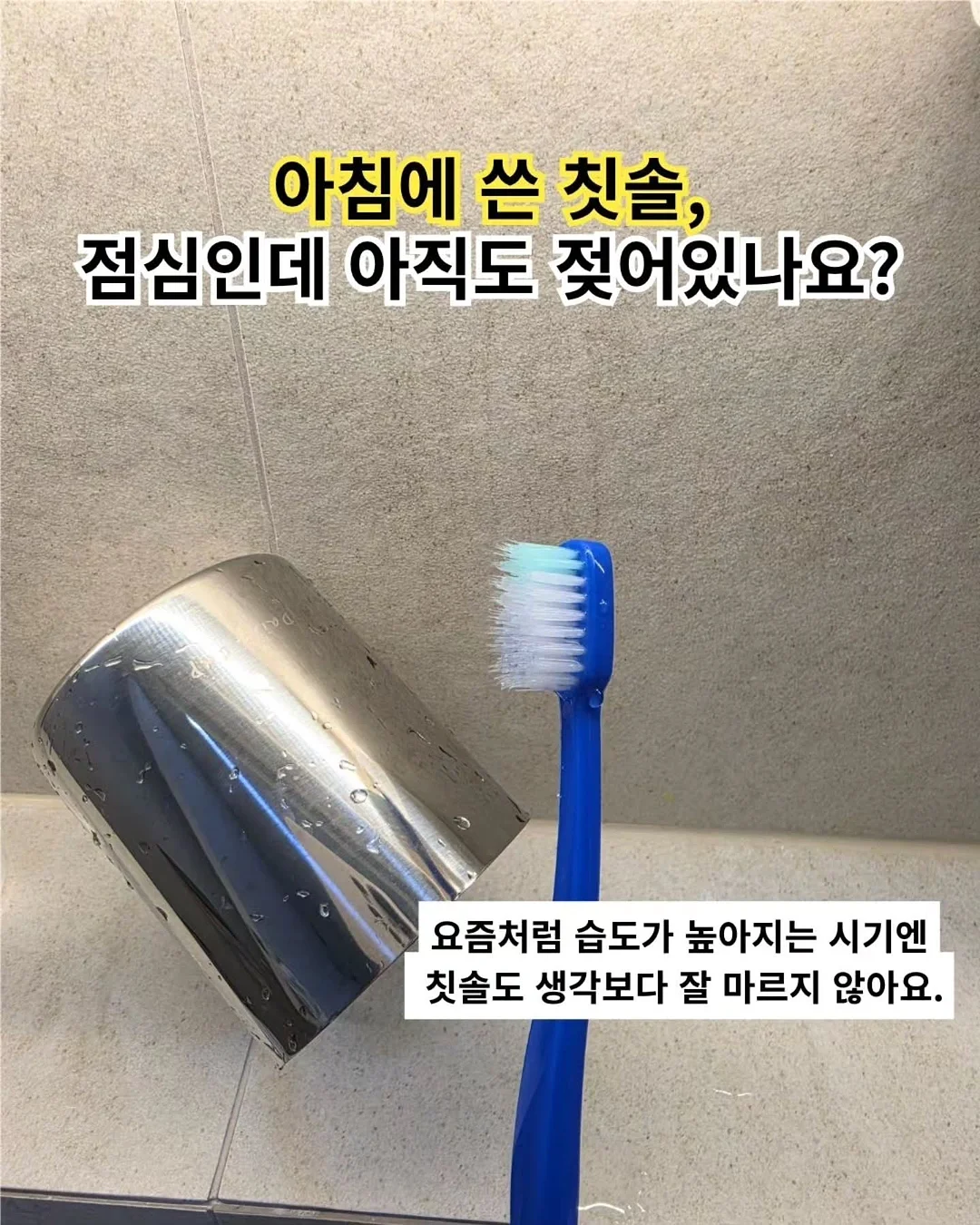 전주 새와하루 독채 숙소 1