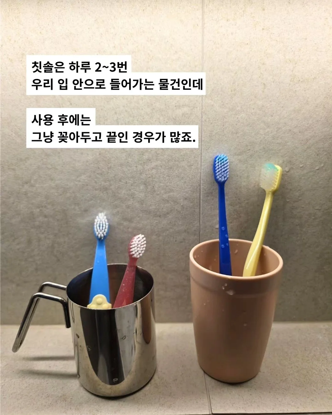 전주 새와하루 독채 숙소 4