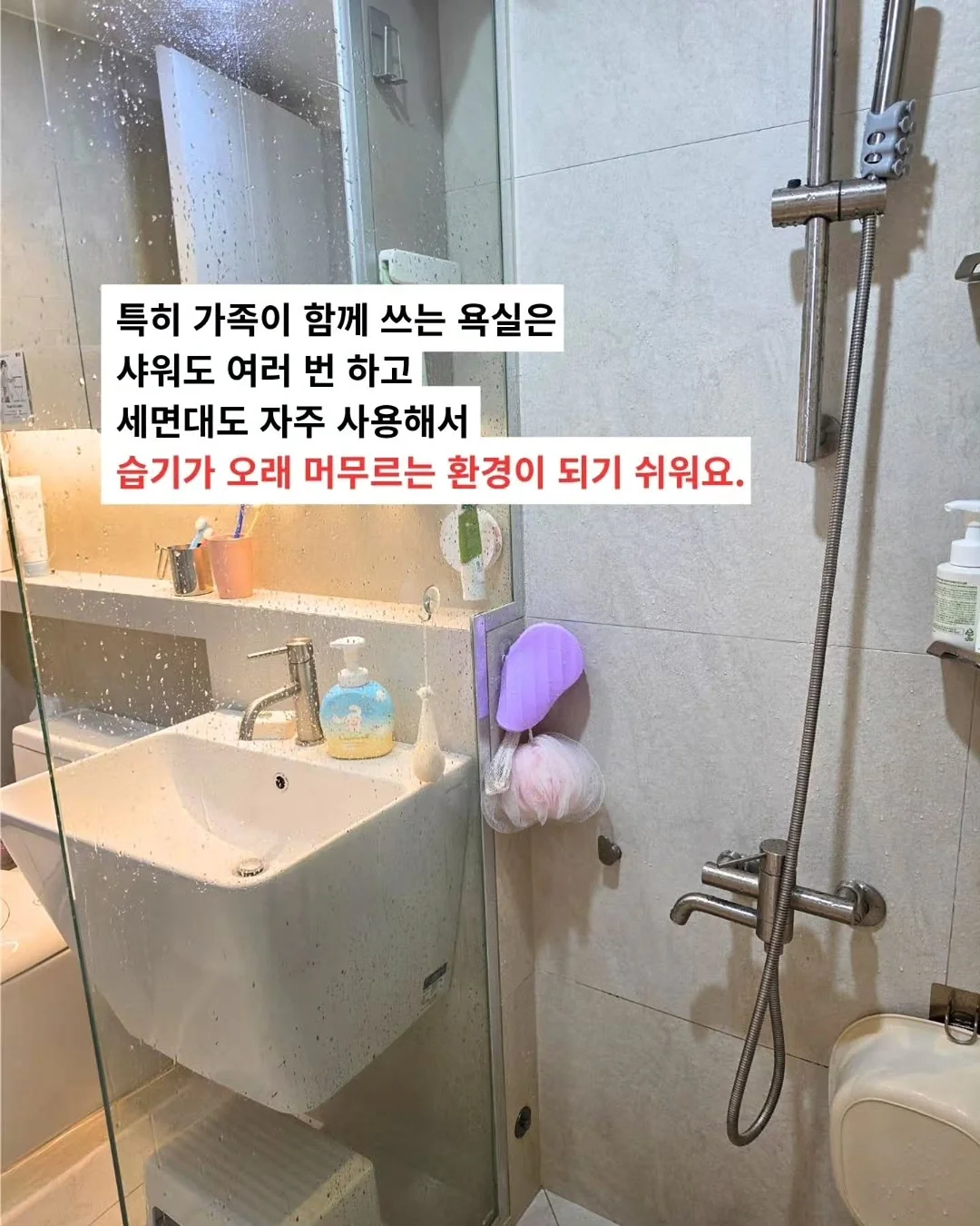 전주 새와하루 독채 숙소 5