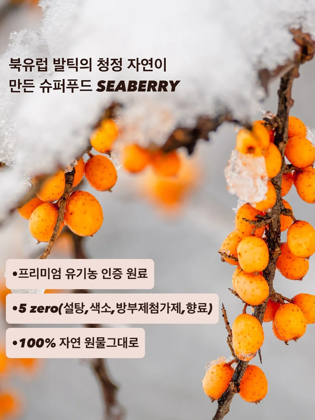 무선 유심 와이파이 동글 라우터 11