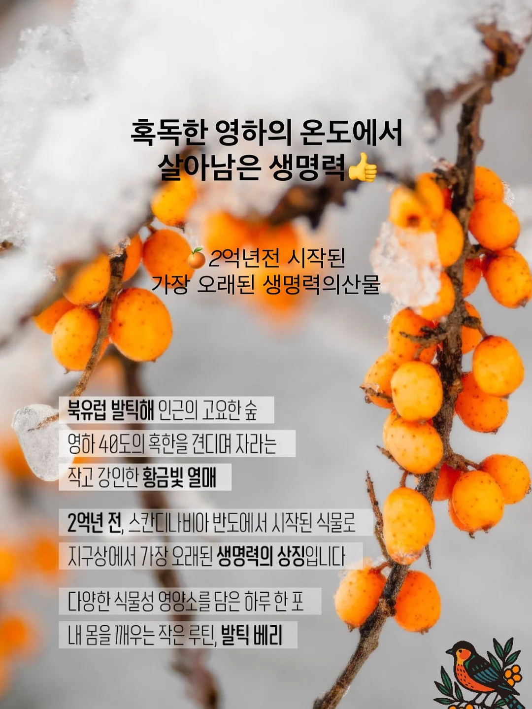무선 유심 와이파이 동글 라우터 3