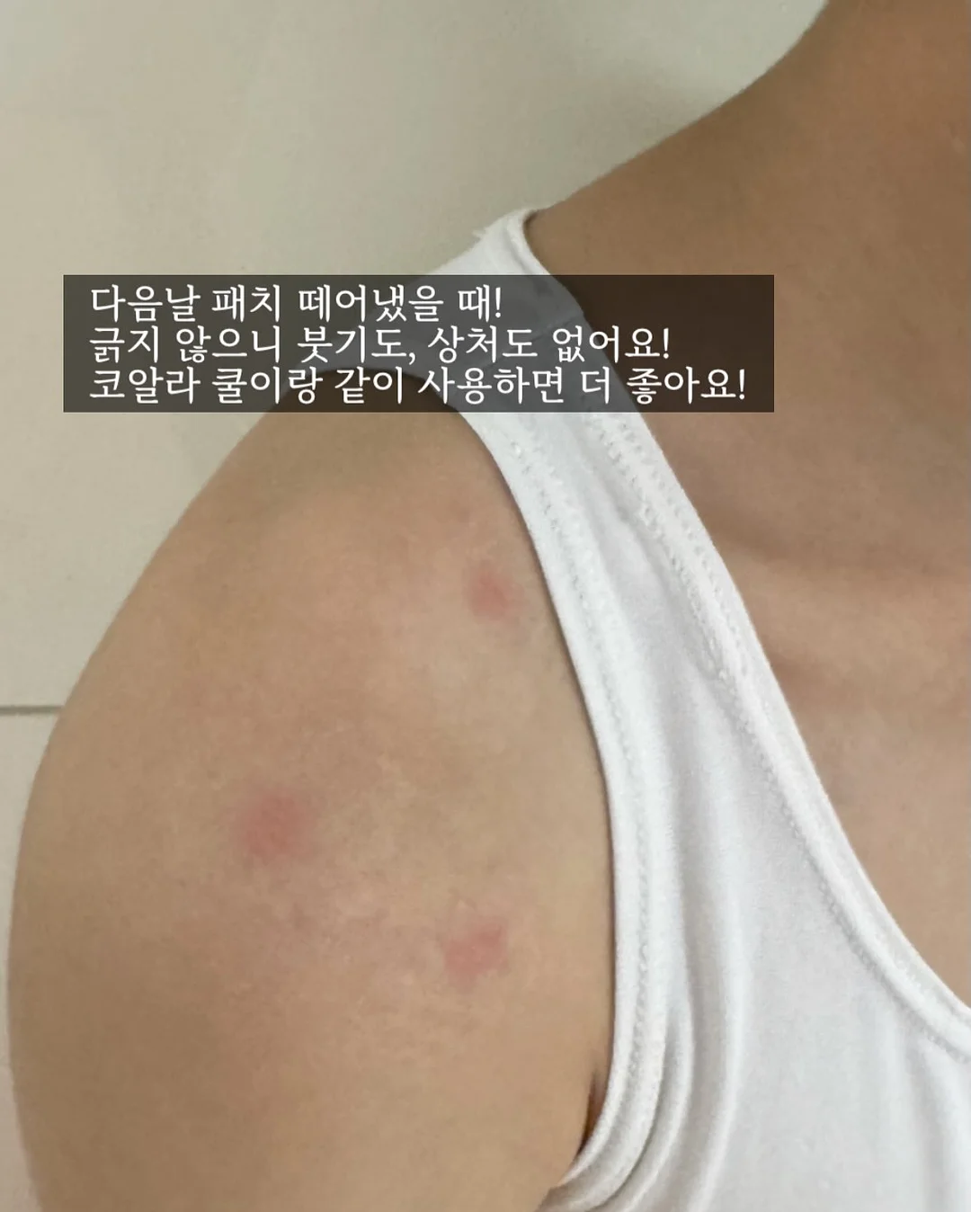 월드뮤직T 3
