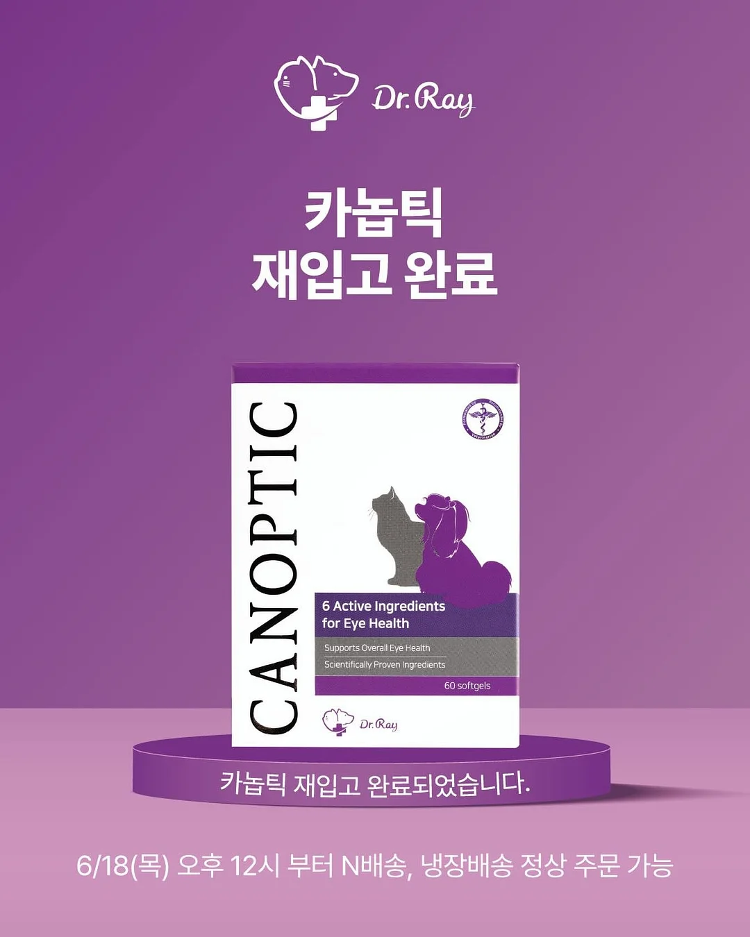 로렌츠 6월 🌿