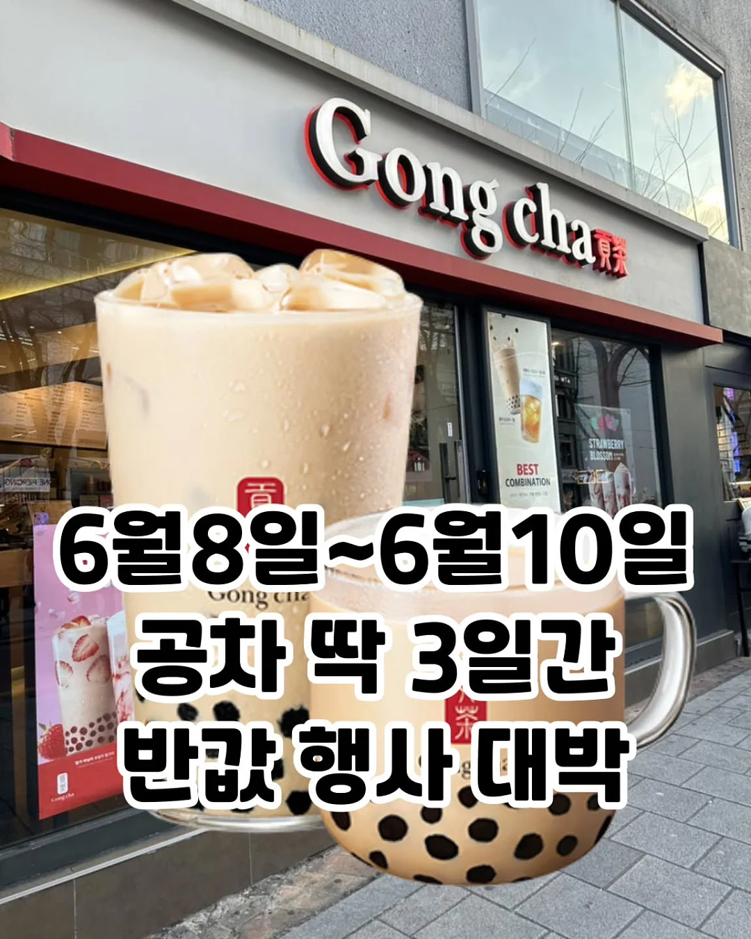 ROCA 도브 화이트 마루