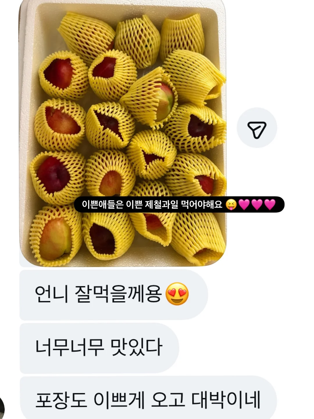 소프트콤보 눈썹 6