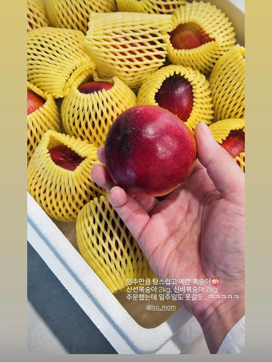 소프트콤보 눈썹 7
