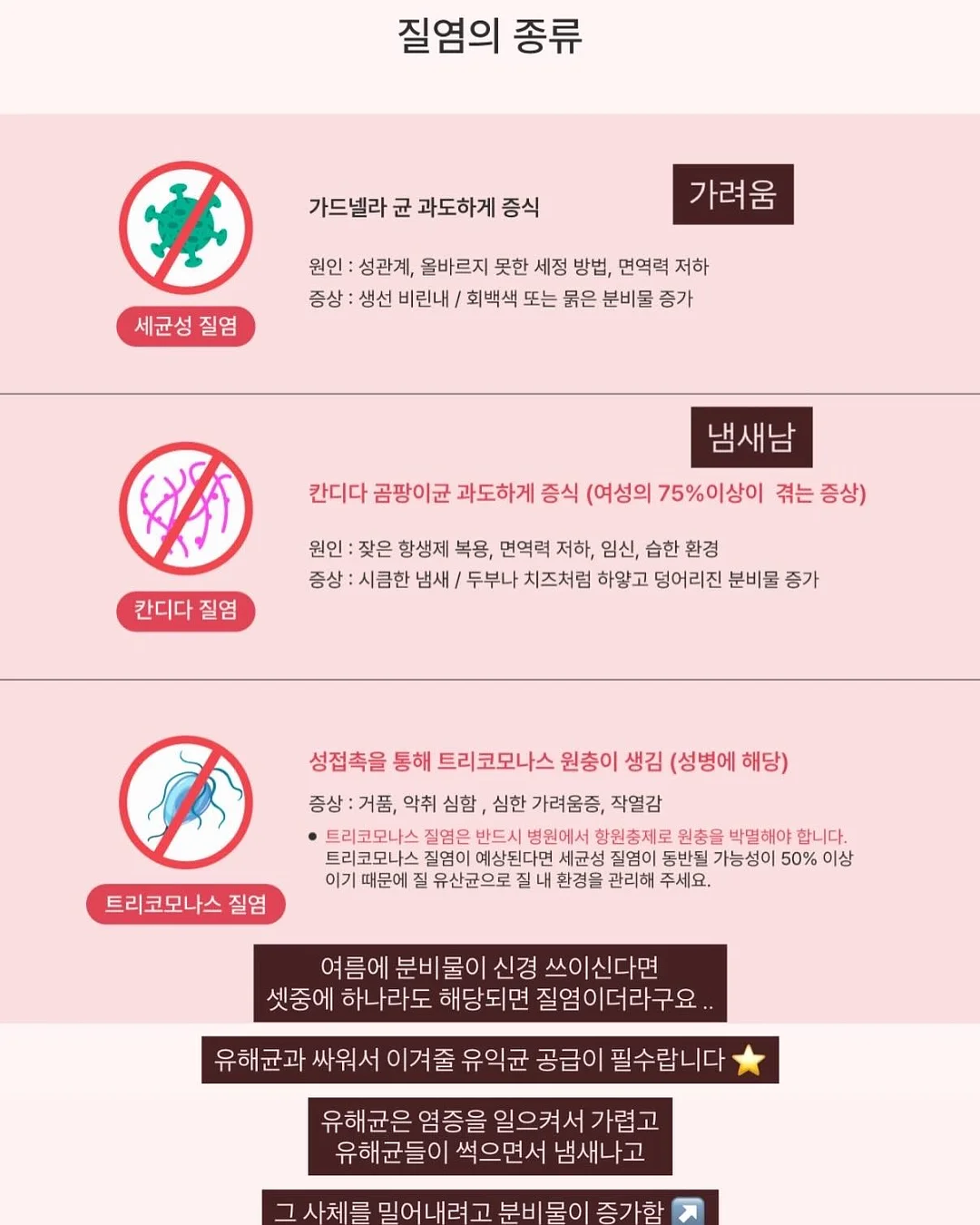 시인 코디 11