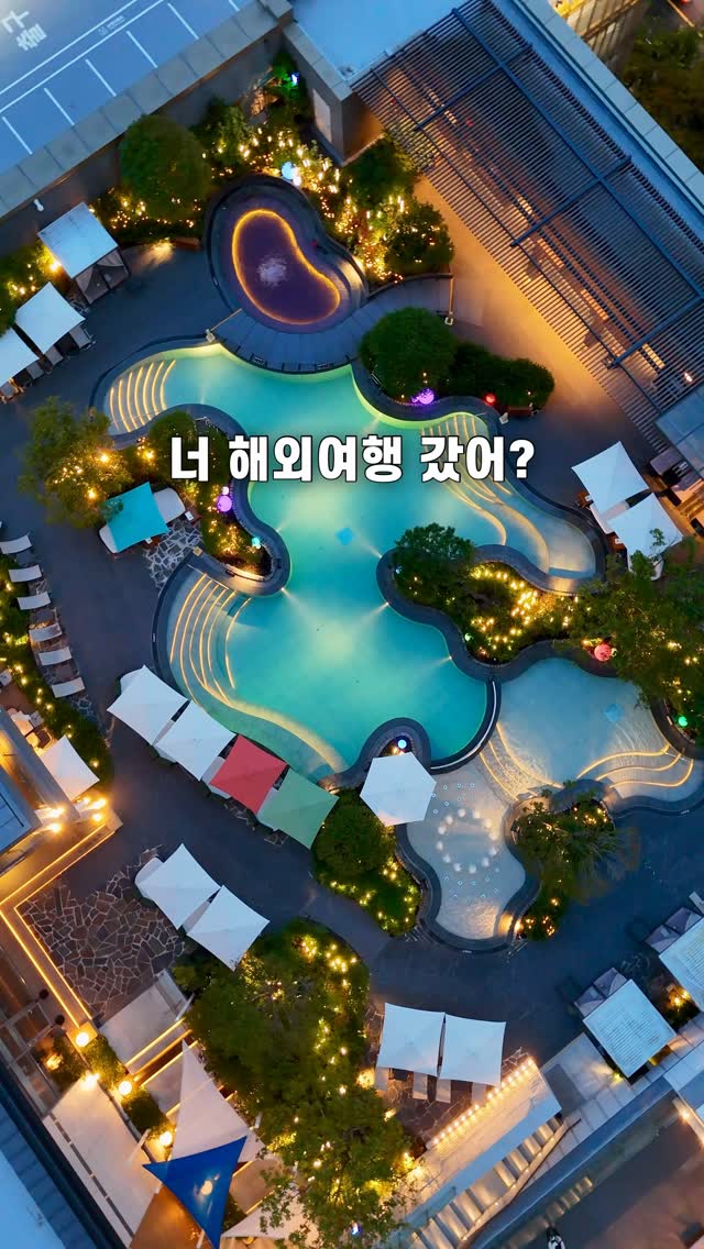 시드 그래픽 의류