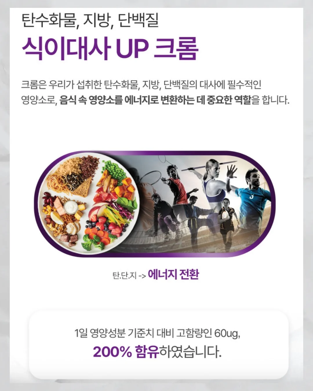 치즈랩 샌드위치 11