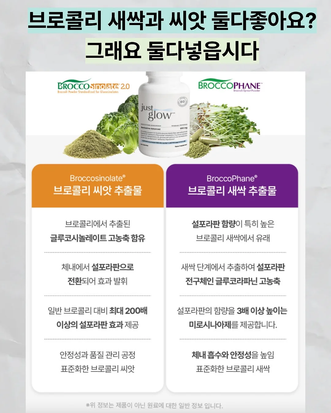 치즈랩 샌드위치 8