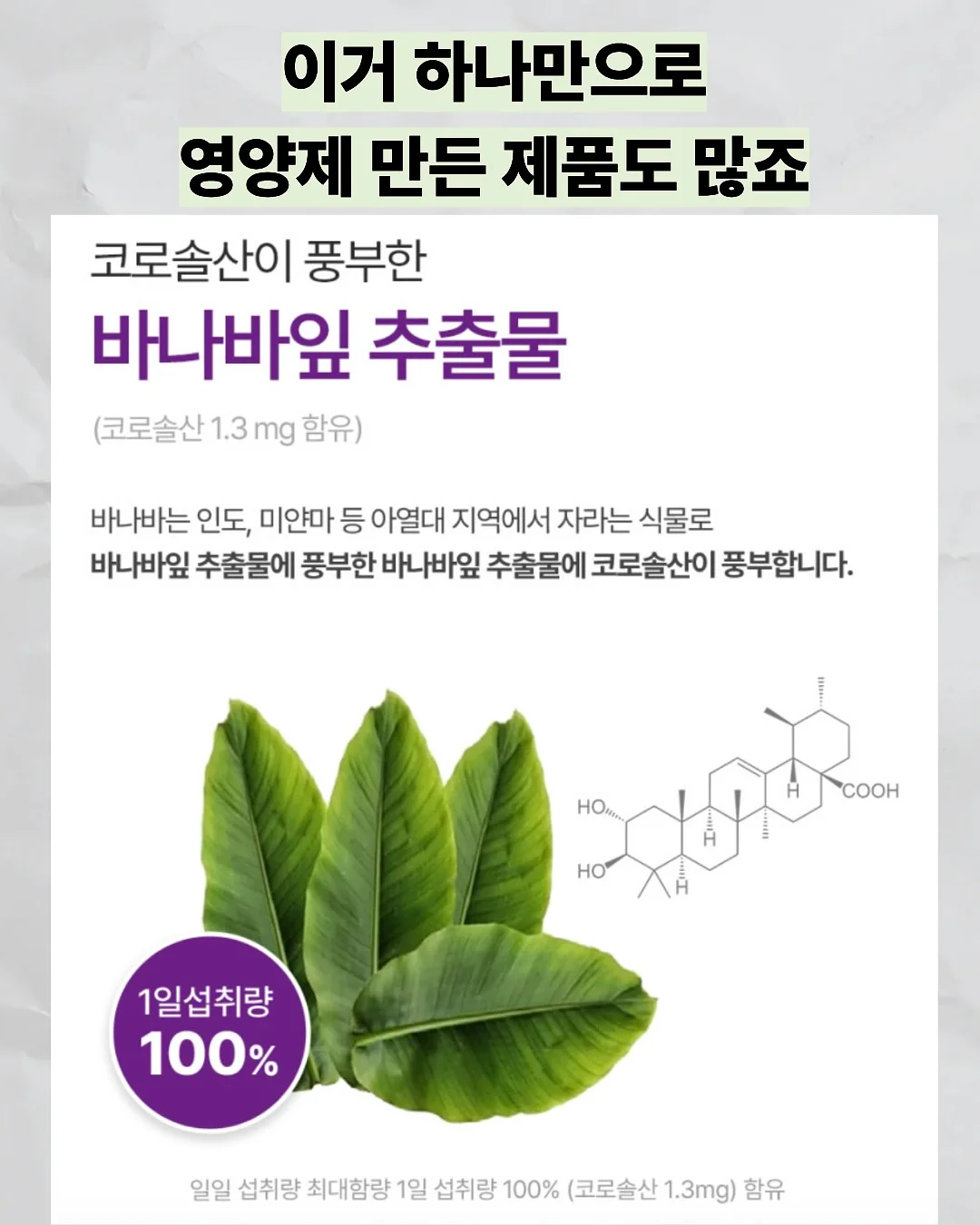 치즈랩 샌드위치 10