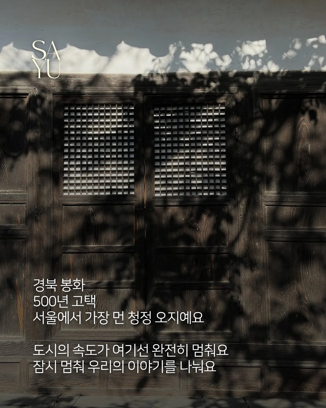 수박주스 3