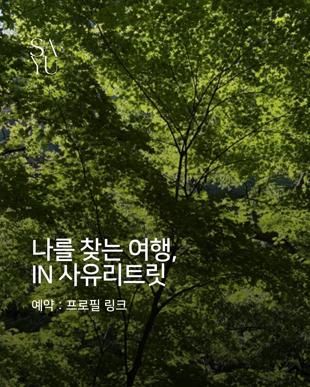 수박주스 9
