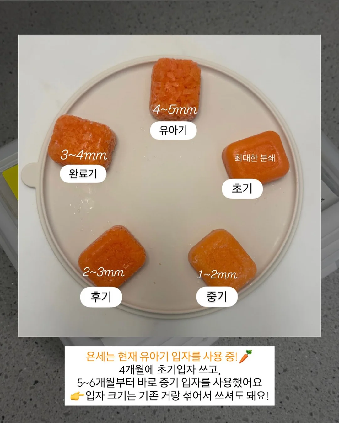 진서연 배우 식단 5
