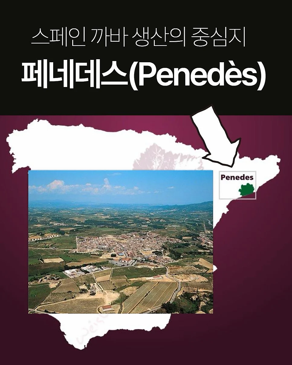 운동화 때 클리너 2