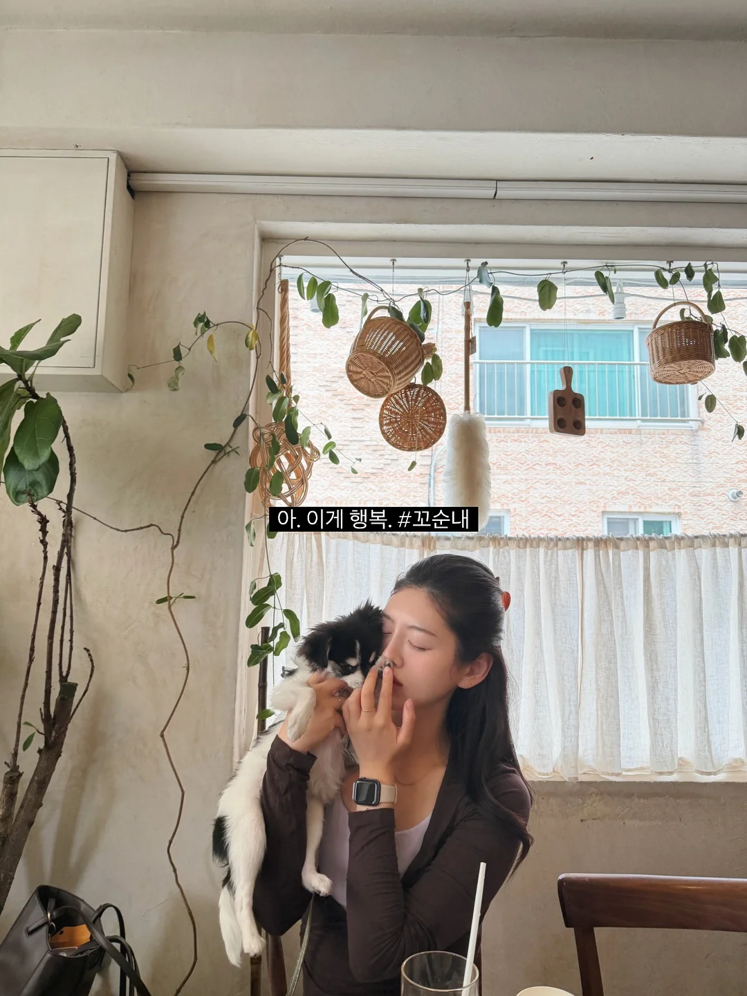 루니베어 하네스와 리쉬 11