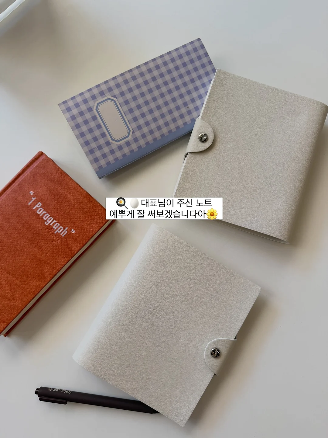 루니베어 하네스와 리쉬 8