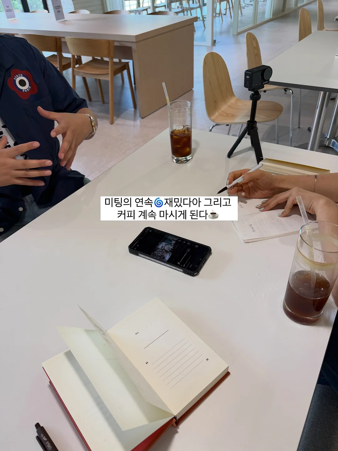 루니베어 하네스와 리쉬 9