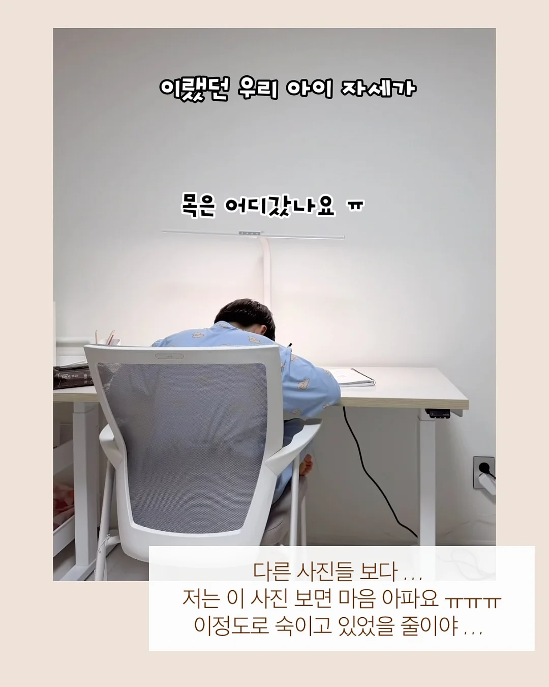 슈베가든 다진 야채 스틱 2