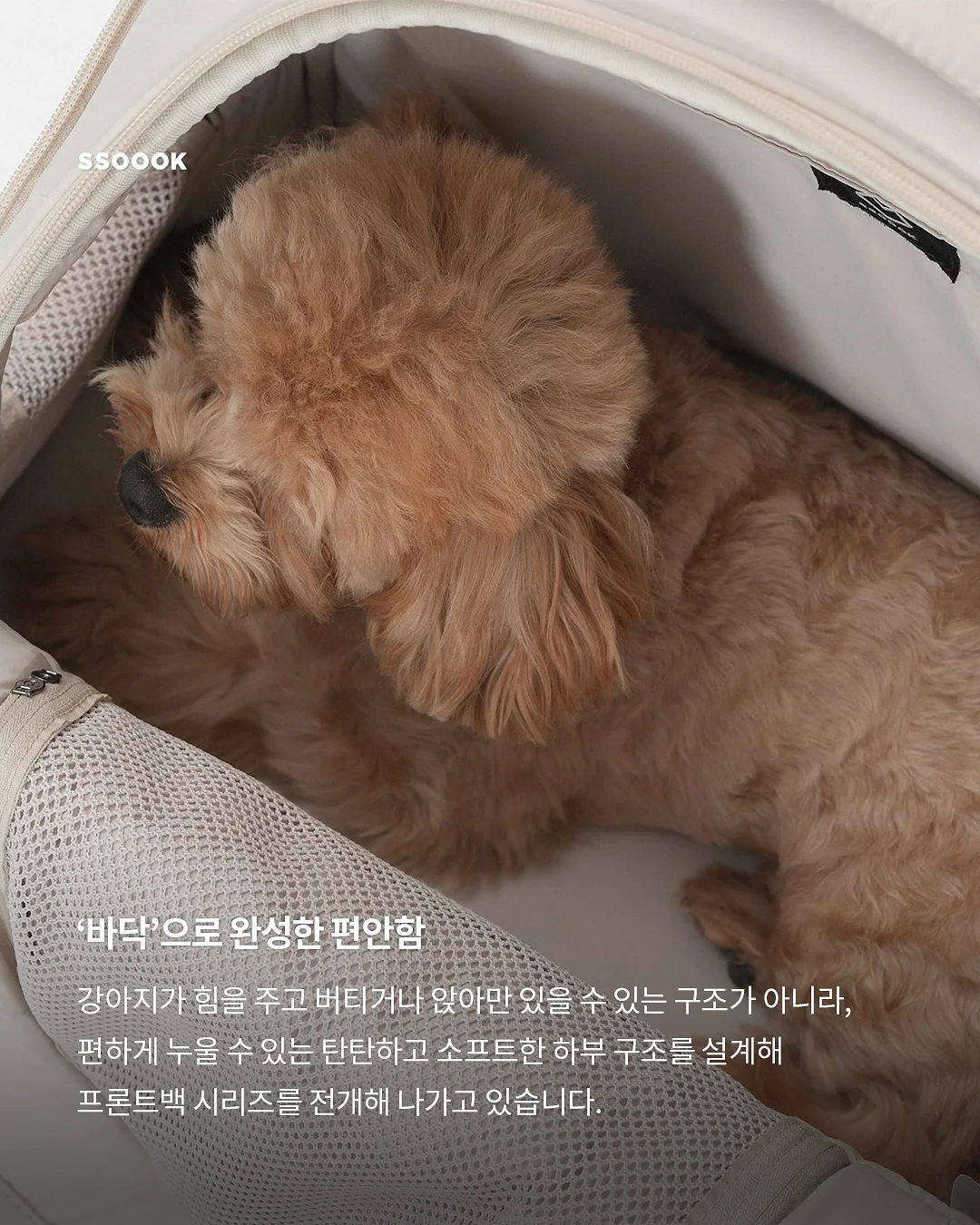 기본 쫄티 3