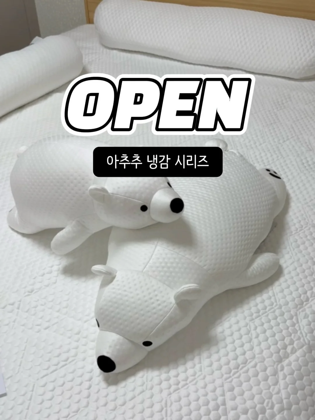 딱 1년만 미쳐라 1