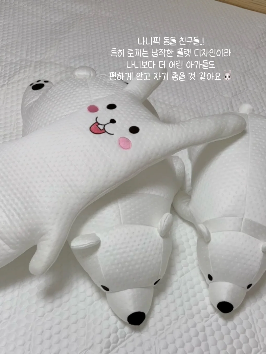 딱 1년만 미쳐라 13