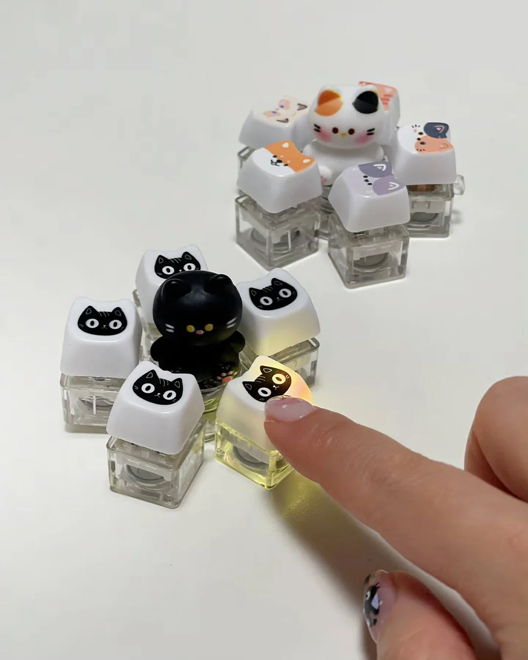폴로 반바지 8