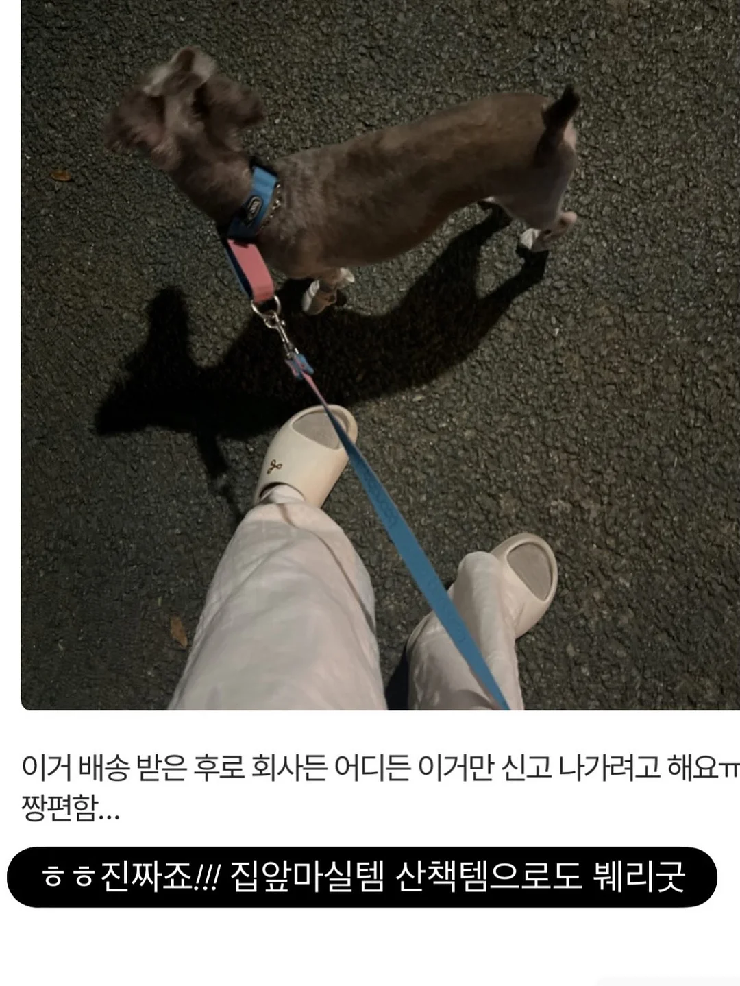 클렌징 스무디 19