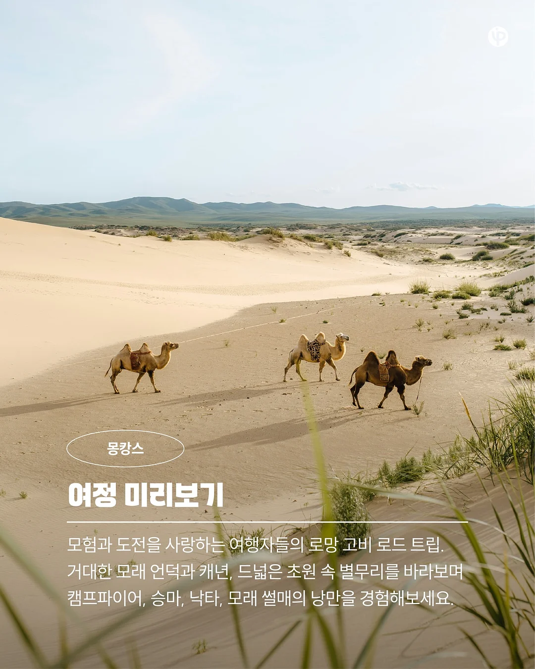 철학을 모른다면 인생을 논할 수 없다 7