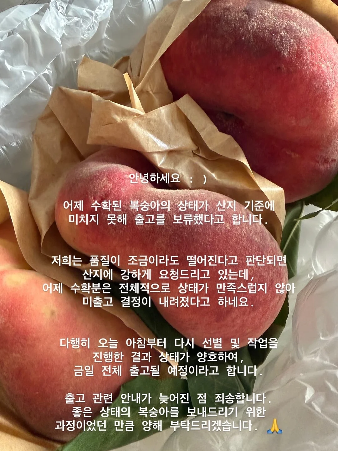 행주 1