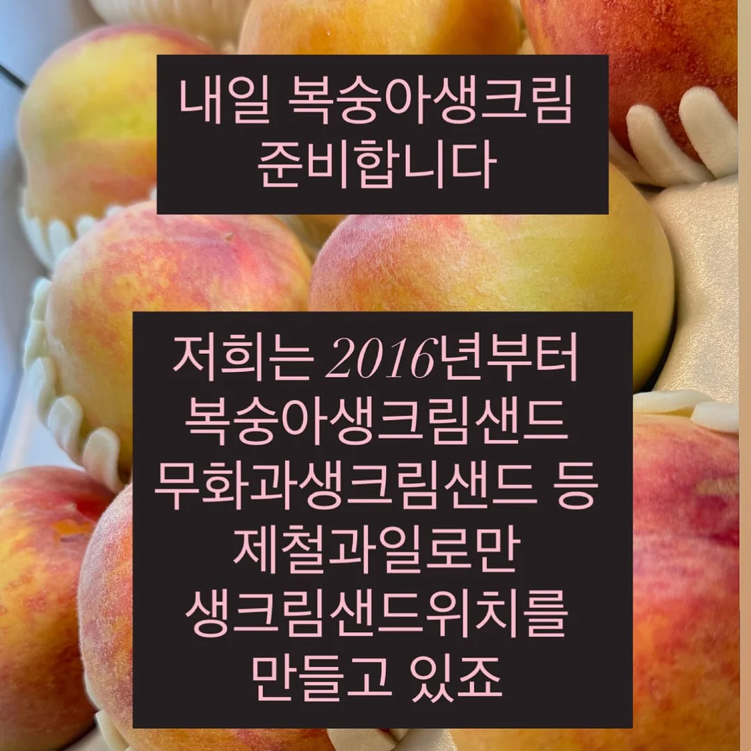 본태패키지 4