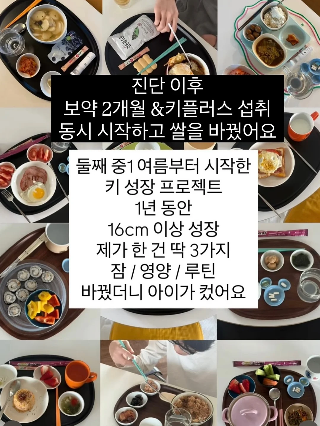 디라이프 에코스텐 양면 도마 5