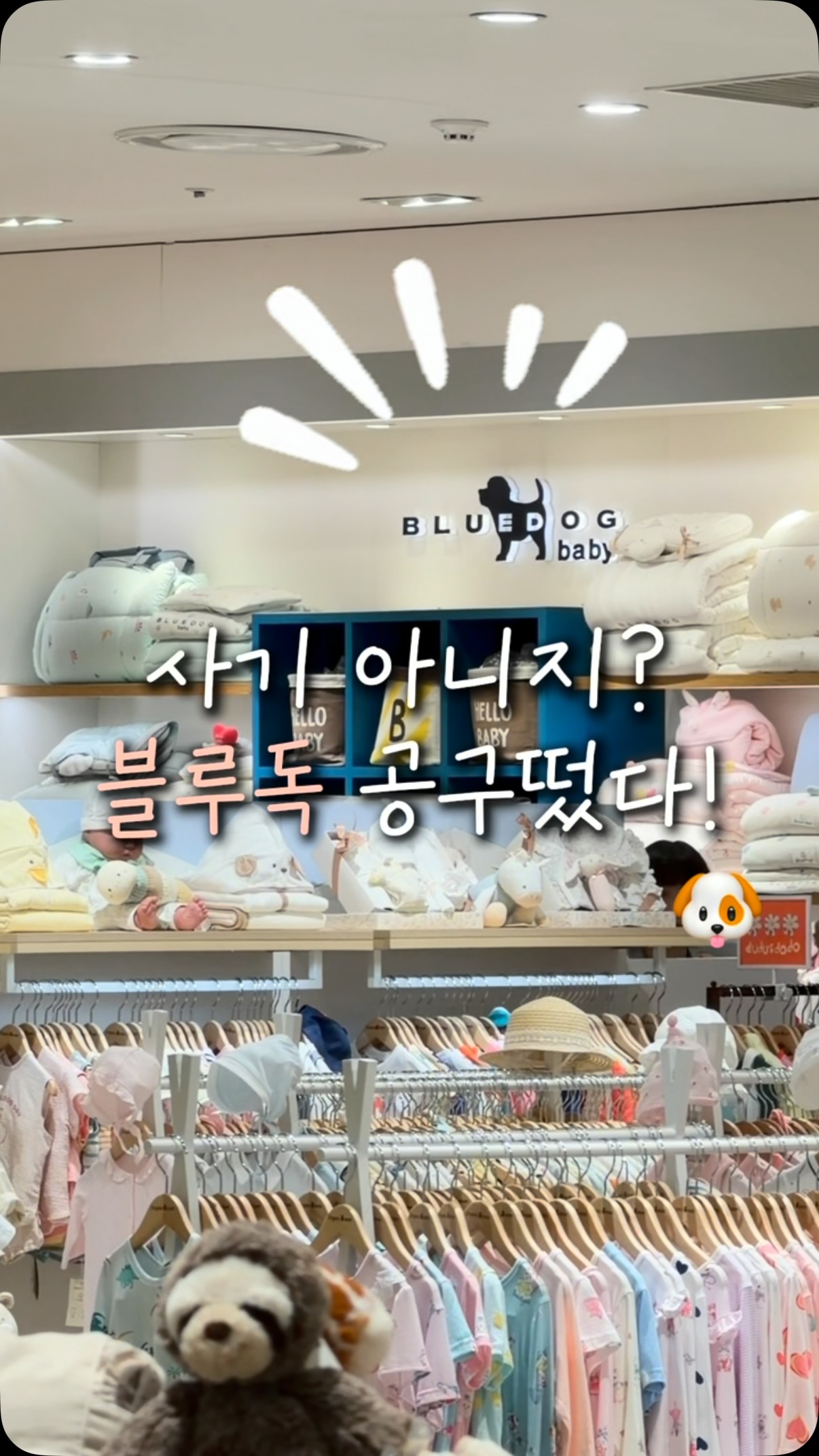 우산 커버