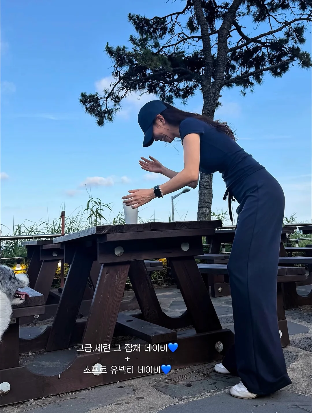 파메키 16