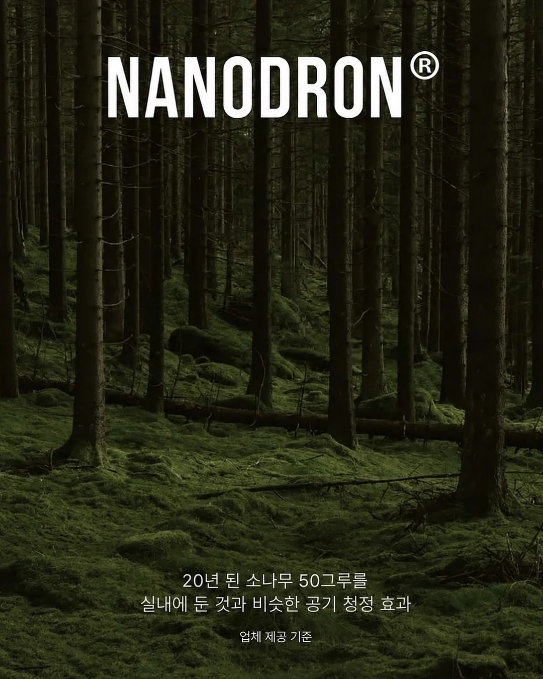 러그 7