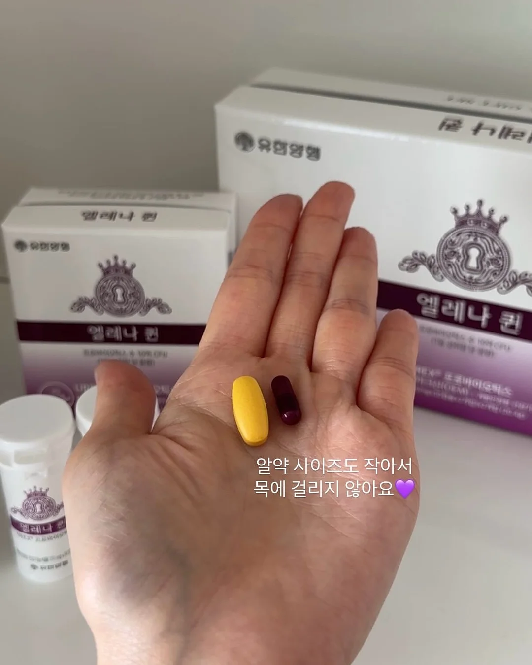 삶으로다시날아오르기 5